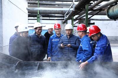 宝武钢铁集团考察公司并达成初步采购意向 信息咨询服务合作开启新篇章